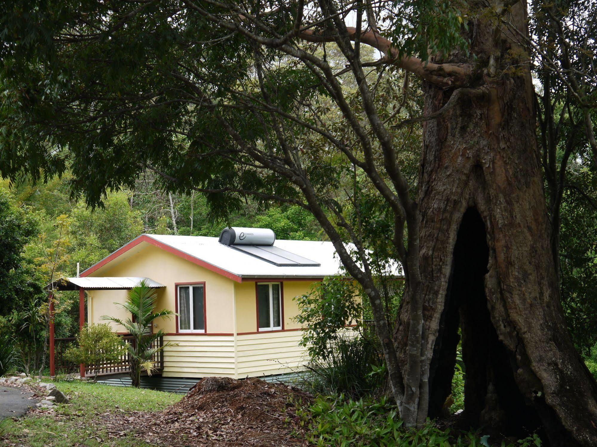 Villa Teretre Cabins Nimbin Extérieur photo